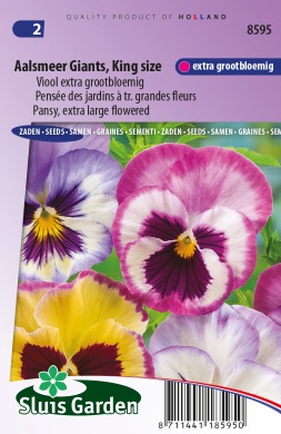 Violet, Pansy Aalsmeer Giants (Viola wittrockiana) 110 seeds SL